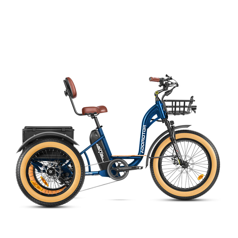 Grandtan II Fat Tyre eTrike